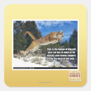 Cat image square sticker