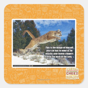 Cat image square sticker