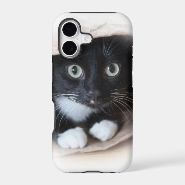 Cat in a bag (Back)