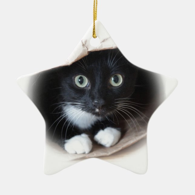 Cat in a bag ceramic tree decoration (Front)
