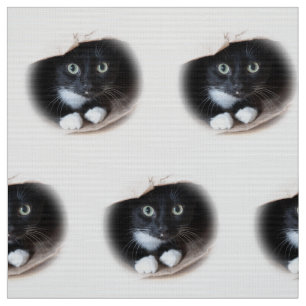 Cat in a bag fabric