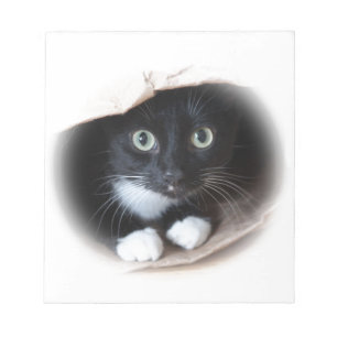 Cat in a bag notepad
