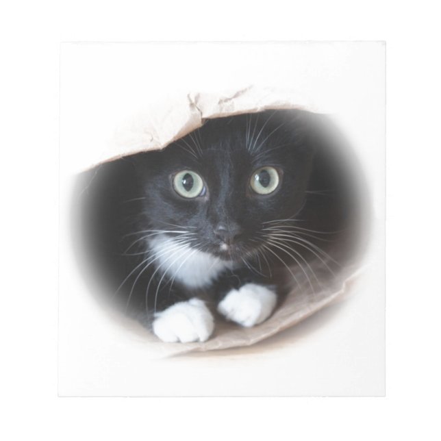 Cat in a bag notepad (Front)
