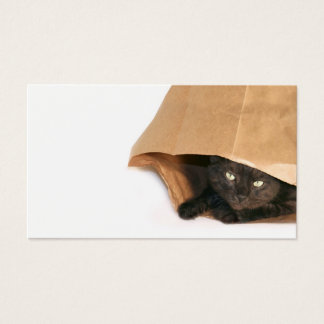 Cat in a bag profile card