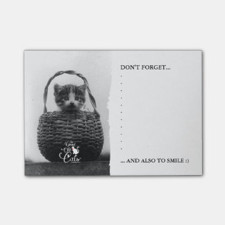 Cat in a Basket Vintage Photo Post-it Notes