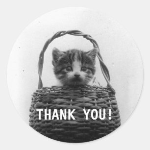 Cat in a Basket Vintage Photo - Thank you Classic Round Sticker