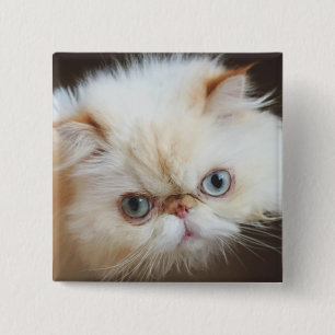 Cat In A Box 15 Cm Square Badge