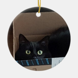 Cat in a box  ceramic tree decoration