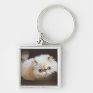 Cat In A Box Key Ring