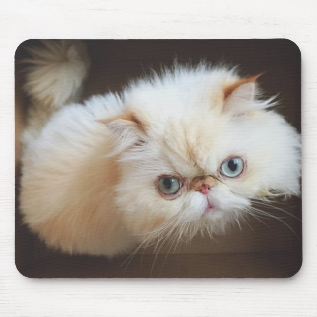 Cat In A Box Mouse Mat (Front)