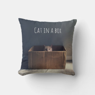 Cat in a box. The Zen cat master. Cushion