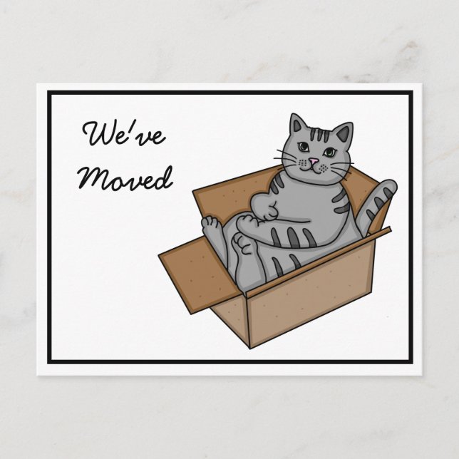 Cat in a Box "We're Moving" New Address    Announcement Postcard (Front)