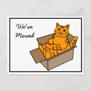 Cat in a Box "We're Moving" New Address Announcement Postcard