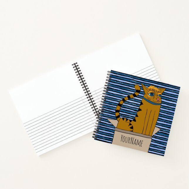 Cat in a Cardboard Box Cartoon Drawing Notebook (Inside)