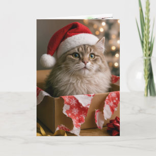Cat In a Christmas Gift Box Card