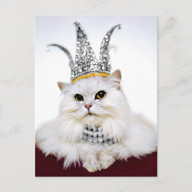 Cat in a Crown Invitation Postcard (Front)