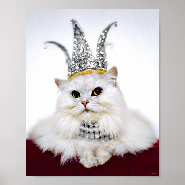 Cat in a Crown Poster (Front)