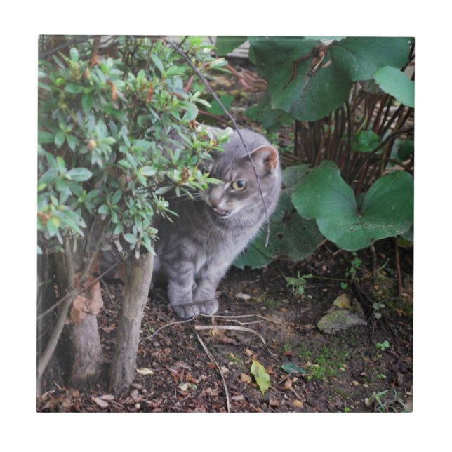 cat in a garden tile (Front)