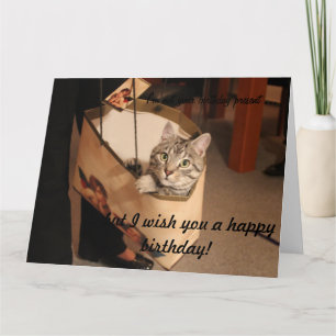 Cat in a gift bag: Big Birthday Card
