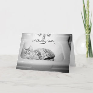 Cat in a Sink, Retro Kitten Birthday Feline Holiday Card