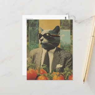 Cat in a Suit With Sunglasses in a Tomato Garden Postcard