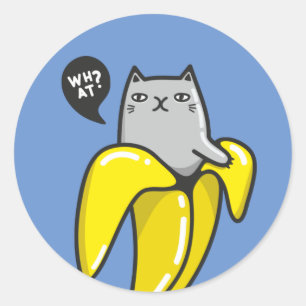 Cat in banana classic round sticker