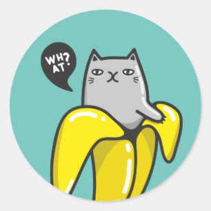 Cat in banana classic round sticker