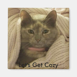 Cat in Blankets, Let's Get Cosy Magnet