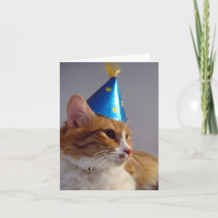 Cat in Blue Party Hat Blank Note Card