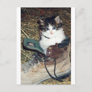 Cat in Boot Postcard