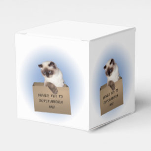 Cat in Box