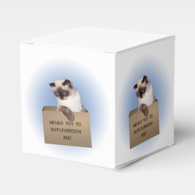 Cat in Box (Front Side)