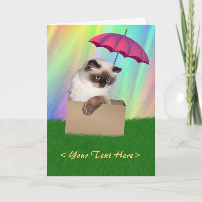 Cat in Box Card (Front)