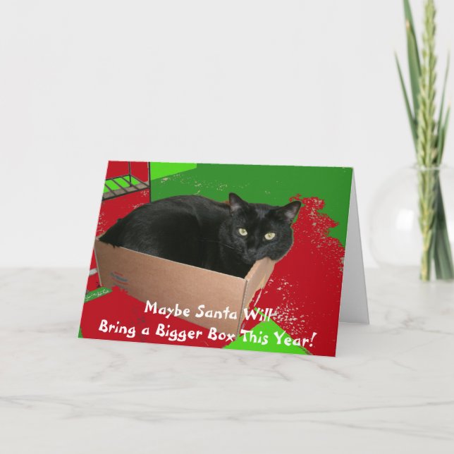 Cat In Box Christmas Card (Front)