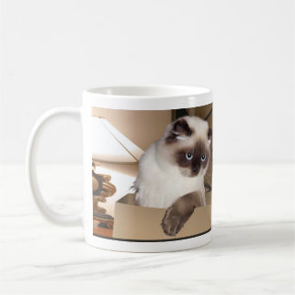 Cat in Box Coffee Mug