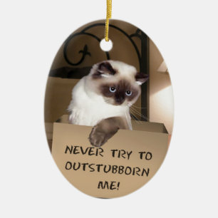 Cat in Box Himalayan Ceramic Tree Decoration