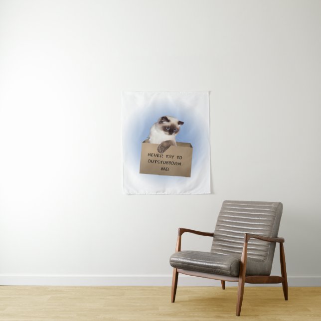 Cat in Box Tapestry (In Situ)