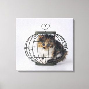 Cat in cage canvas print