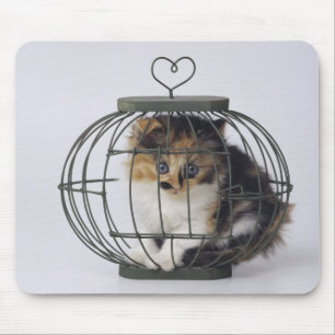 Cat in cage mouse mat