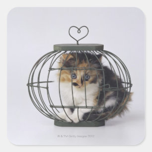 Cat in cage square sticker