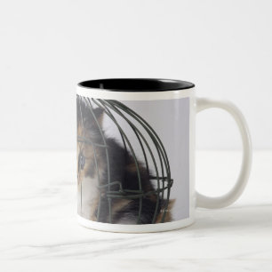 Cat in cage Two-Tone coffee mug
