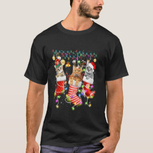 Cat In Christmas Sock T-Shirt
