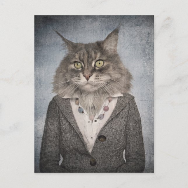 Cat In Clothes Postcard (Front)
