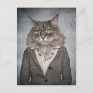 Cat In Clothes Postcard