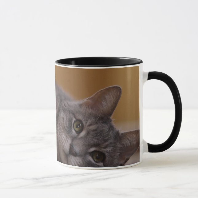 Cat In Cute Pose Lying on the Floor Mug (Right)