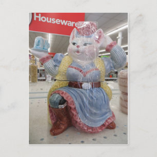 Cat In Dress Postcard
