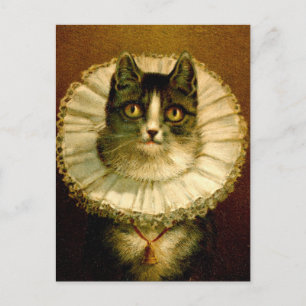 Cat in Elizabethan Collar Costume Postcard