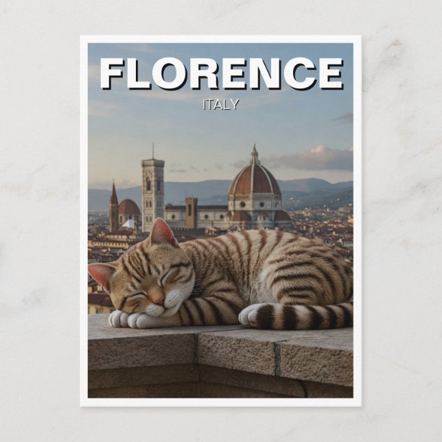 Cat in Florence Italy Duomo Travel Postcard (Front)