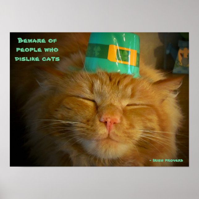 Cat in Irish Hat with proverb Poster (Front)