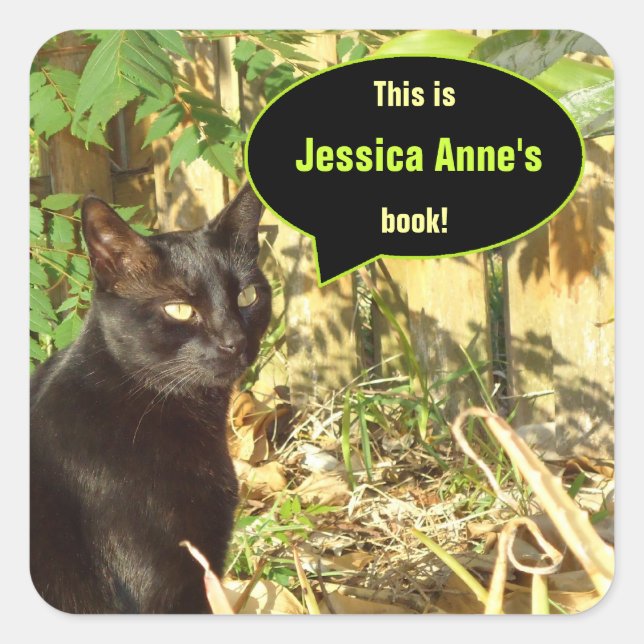 Cat in Morning Sun Custom Bookplates Square Sticker (Front)